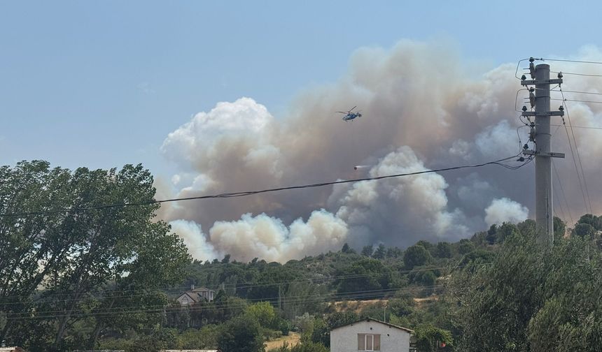 Çanakkale'de tarım arazisinde başlayıp ormana sıçrayan yangına müdahale ediliyor