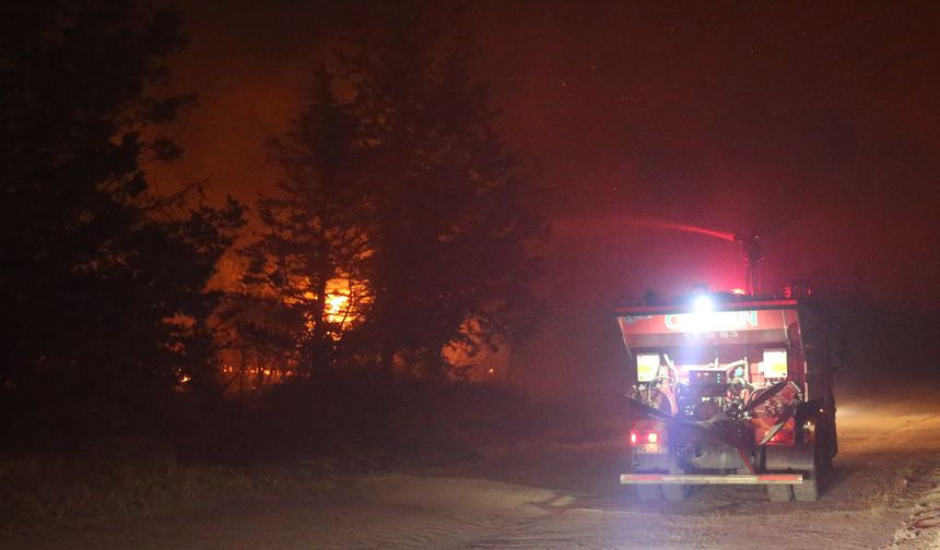 Edirne'de çıkan orman yangınına müdahale sürüyor