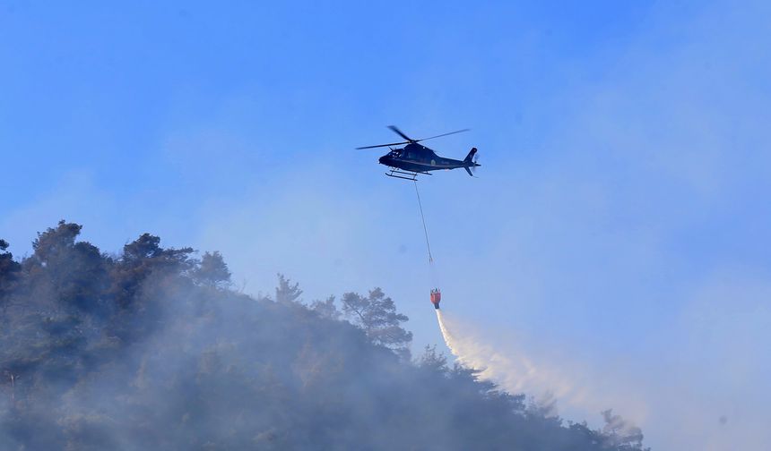 Manisa'nın Alaşehir ilçesindeki orman yangını kontrol altına alındı