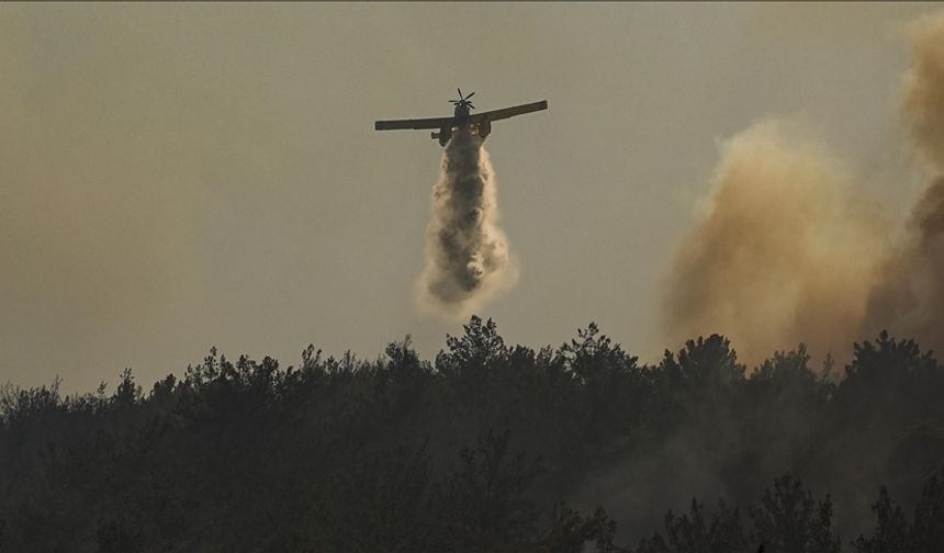 Muğla'da çıkan orman yangınına müdahale ediliyor