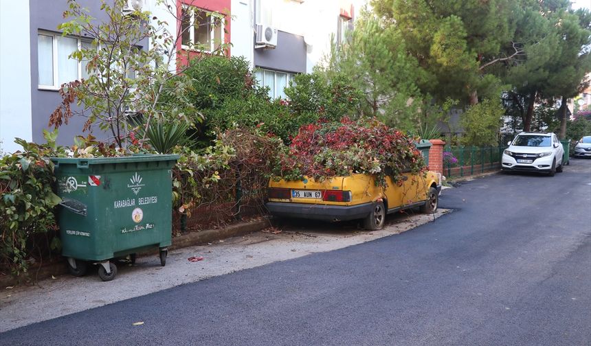 İzmir'de 8 yıldır park halindeki otomobili sarmaşıklar sardı