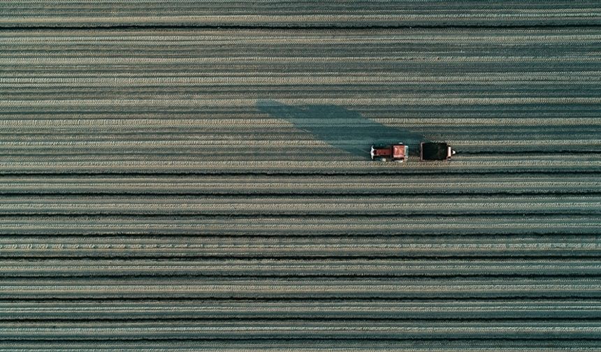 Organize tarım bölgelerindeki projelere 6 milyar liralık kredi ve hibe desteği