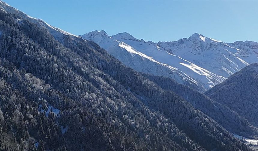 Rize ve Artvin'in yüksek kesimlerinde kar etkili oldu