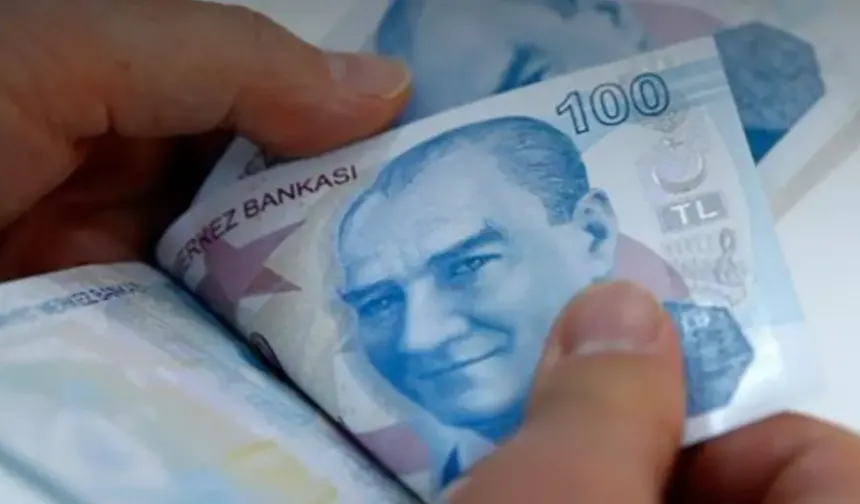 Bireysel Emeklilik Sisteminde Devlet katkısı %20’ye düşürüldü